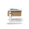 Champion center up Wood biurko